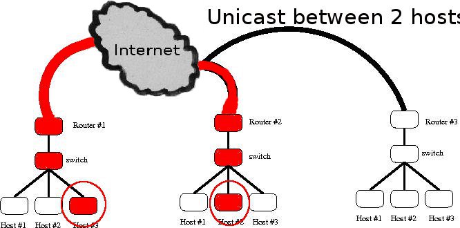 3networks-unicast.jpg