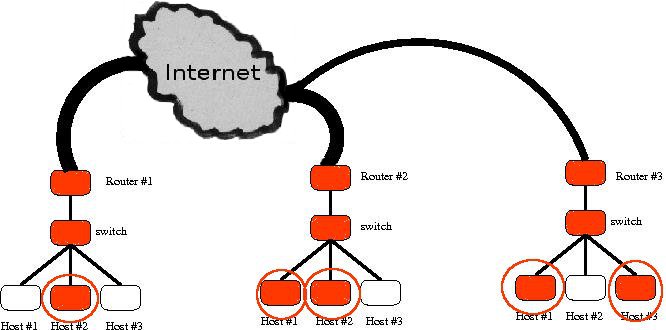 3networks-multicasting.jpg